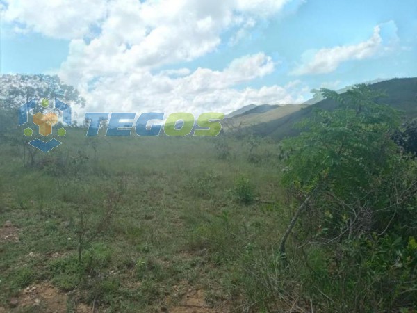 Terreno à venda, 10 hectares por  R$ 400.000 - Bacao - Itabirito/Minas Gerais Foto 7