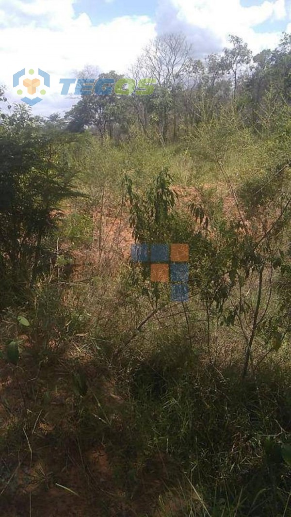 Terreno à venda, 2000 m² por R$ 400.000,00 - Área Rural - Ribeirão das Neves/MG Foto 8