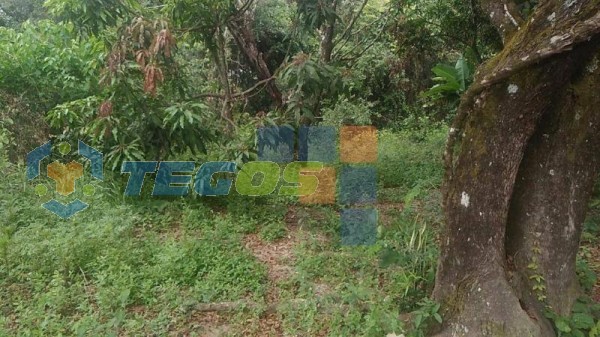 Terreno à venda, 360 m² por R$ 50.000,00 - Vianinha - Esmeraldas/MG Foto 2