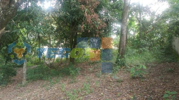 Terreno à venda, 360 m² por R$ 50.000,00 - Vianinha - Esmeraldas/MG Foto 6