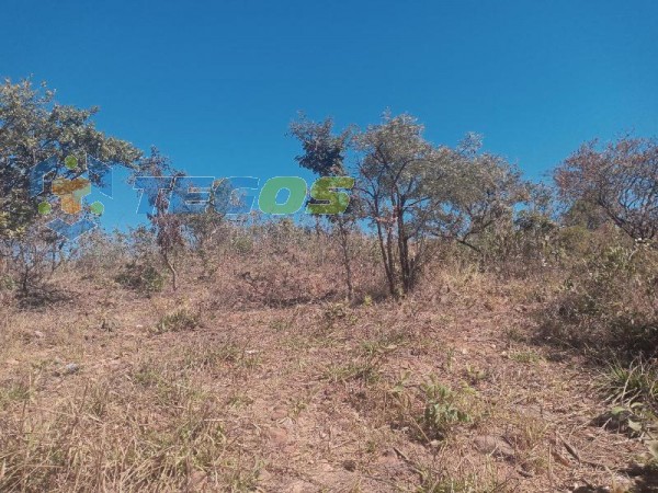 Terreno de 620m² por R$ 60.000,00 Foto 2