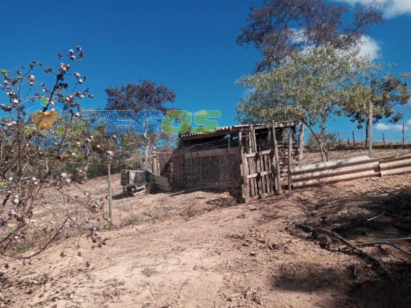 Chácara de 3.000 m2 com casa à venda por R$ 400.000,00 Foto 23