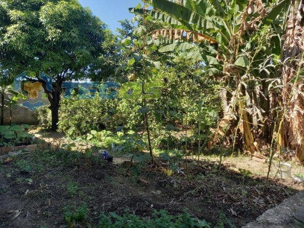 Lote de 375 m² à venda por R$ 180.000,00 Foto 17