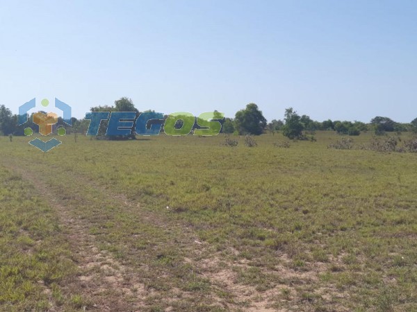 Chácara à venda, local Murado com portão eletrônico, próximo ao Rio Cricaré, 3.5km de Guriri Foto 8