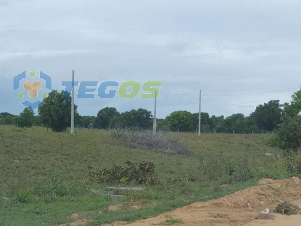 Chácara à venda, local Murado com portão eletrônico, próximo ao Rio Cricaré, 3.5km de Guriri Foto 12