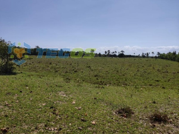 Chácara à venda, local Murado com portão eletrônico, próximo ao Rio Cricaré, 3.5km de Guriri Foto 13
