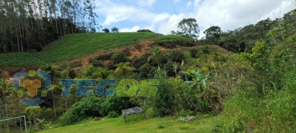 sitio melgaço Foto 5