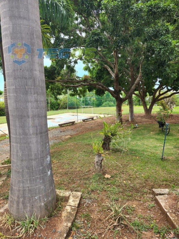 Fazenda Maravilhosa em Felixlândia Foto 10