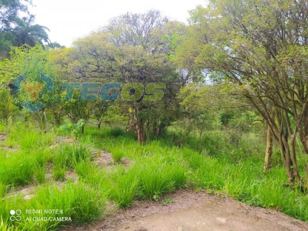 Terreno De 7,5ha No Bação! Foto 16