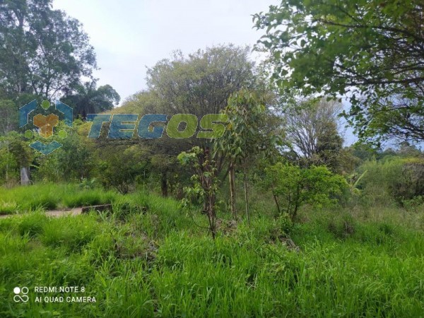 Terreno De 7,5ha No Bação! Foto 17