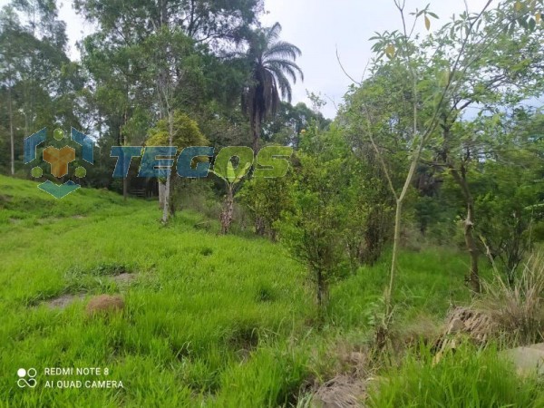 Terreno De 7,5ha No Bação! Foto 18