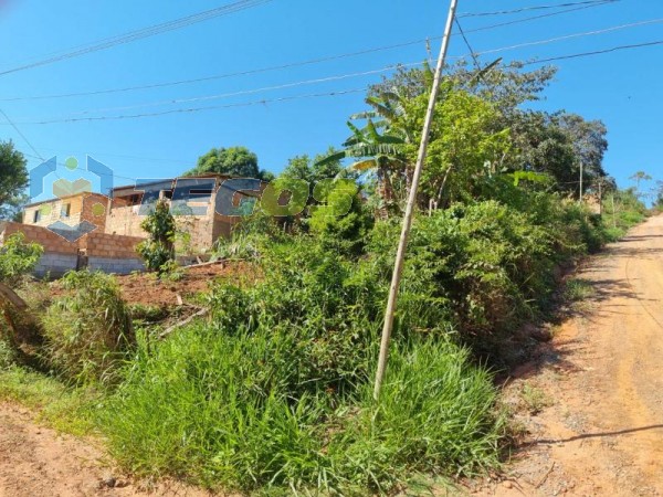 Lote No Bairro Marzagão Foto 10