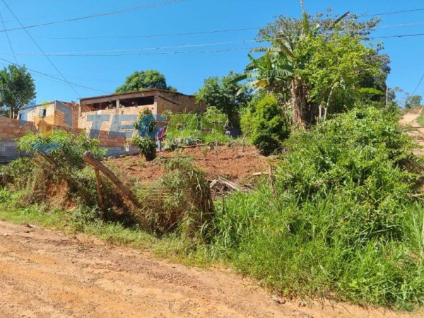 Lote No Bairro Marzagão Foto 6