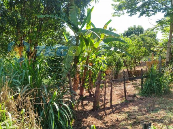 Lote No Bairro Marzagão Foto 4