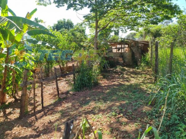 Lote No Bairro Marzagão Foto 5