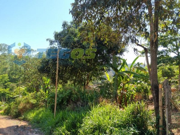 Lote No Bairro Marzagão Foto 7