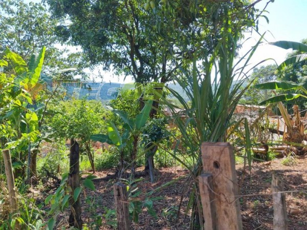 Lote No Bairro Marzagão Foto 9