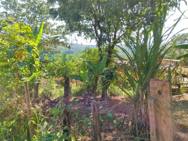 Lote No Bairro Marzagão Foto 14