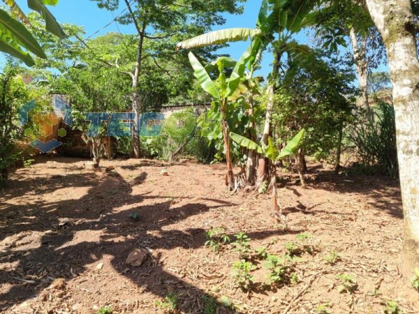 Lote No Bairro Marzagão Foto 11