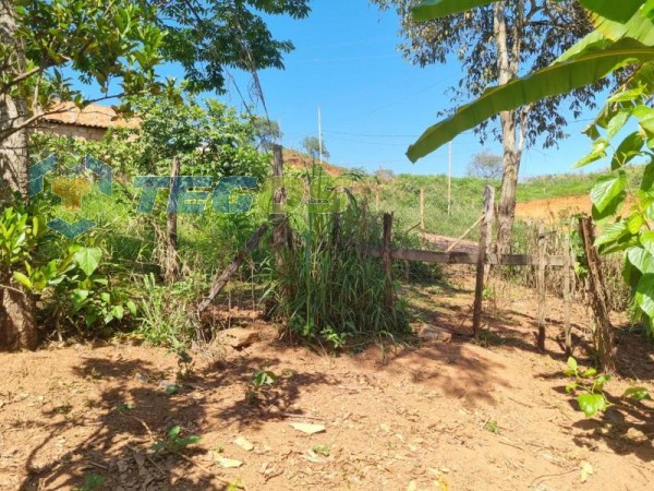 Lote No Bairro Marzagão Foto 17