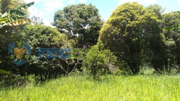 Excelente Sítio em Santo Antônio do Leite no Catete Foto 5