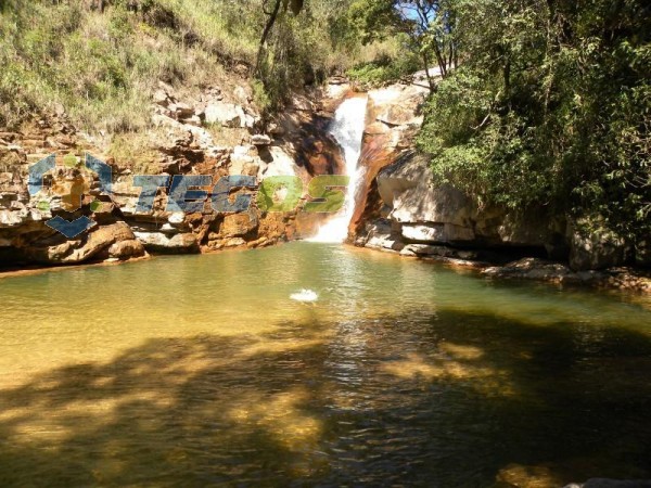 Fazenda Maravilhosa Com Área Verde Foto 2