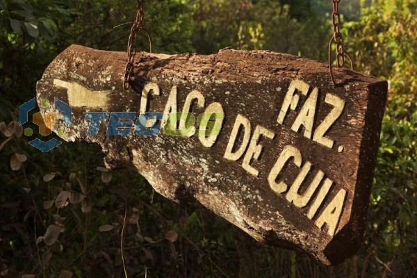 Fazenda Maravilhosa Com Área Verde Foto 13