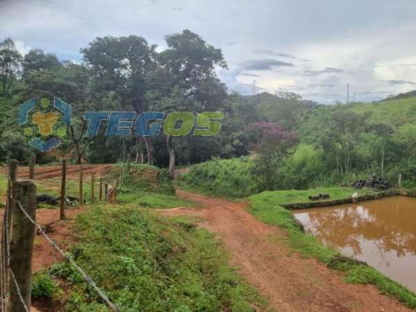 Oportunidade de Chacara em Itabirito-MG Foto 7