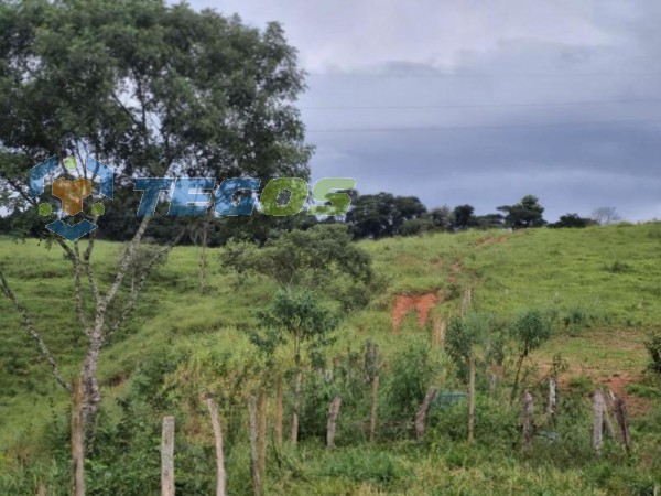 Oportunidade de Chacara em Itabirito-MG Foto 25