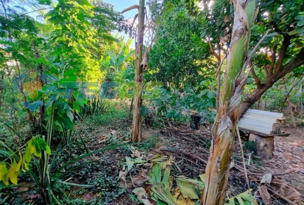 Refúgio Urbano: Casa com ponto comercial em terreno de 1000m² para venda em Coronel Fabriciano, MG Foto 6