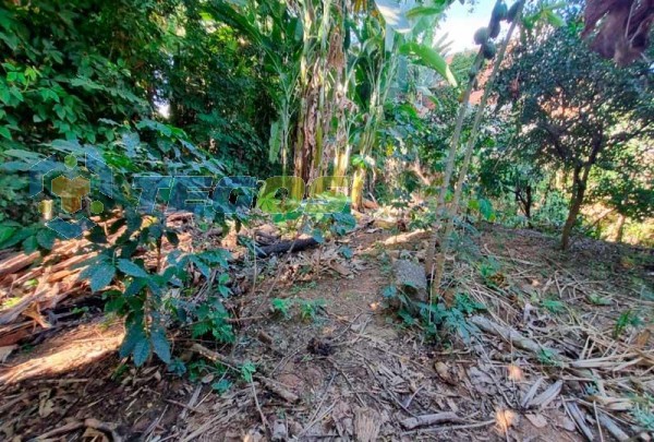 Refúgio Urbano: Casa com ponto comercial em terreno de 1000m² para venda em Coronel Fabriciano, MG Foto 7