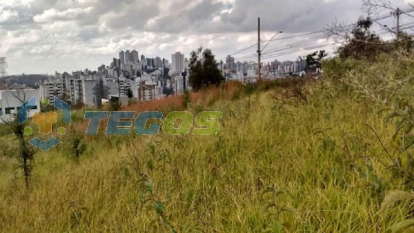 Lote localizado em Buritis. 0 quartos, 0 banheiros e 0 vagas. Foto 5