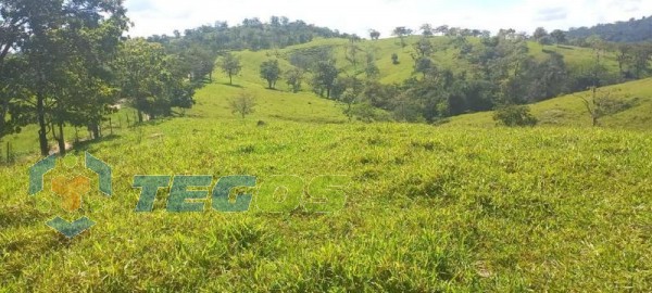 FAZENDA COM 206 HECTARES Foto 7