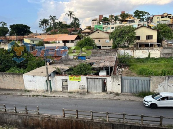 LOTE COM APROXIMADAMENTE 380m² Foto 3