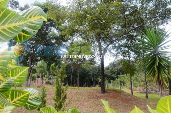 Terreno / Área localizado em Cidade Jardim. 0 quartos, 0 banheiros e 0 vagas. Foto 6