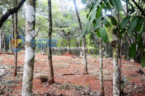 Terreno / Área localizado em Cidade Jardim. 0 quartos, 0 banheiros e 0 vagas. Foto 8