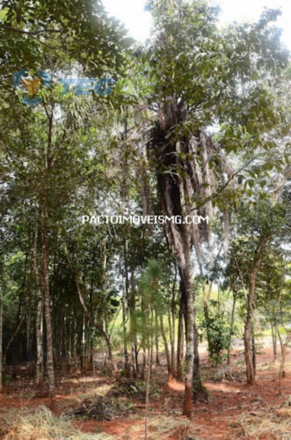 Terreno / Área localizado em Cidade Jardim. 0 quartos, 0 banheiros e 0 vagas. Foto 10