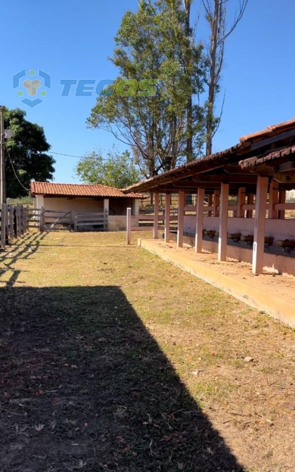 Excelente fazenda com 70 hectare em Pitangui MG Foto 9