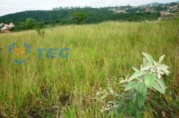 Terreno / Área localizado em Vila Magdalena. 0 quartos, 0 banheiros e 0 vagas. Foto 1