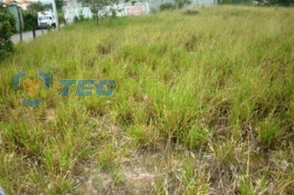 Terreno / Área localizado em Vila Magdalena. 0 quartos, 0 banheiros e 0 vagas. Foto 3