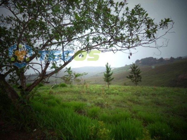 Lote localizado em Vale Dos Pinhais. 0 quartos, 0 banheiros e 0 vagas. Foto 5