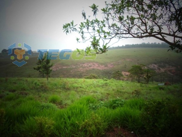 Lote localizado em Vale Dos Pinhais. 0 quartos, 0 banheiros e 0 vagas. Foto 9