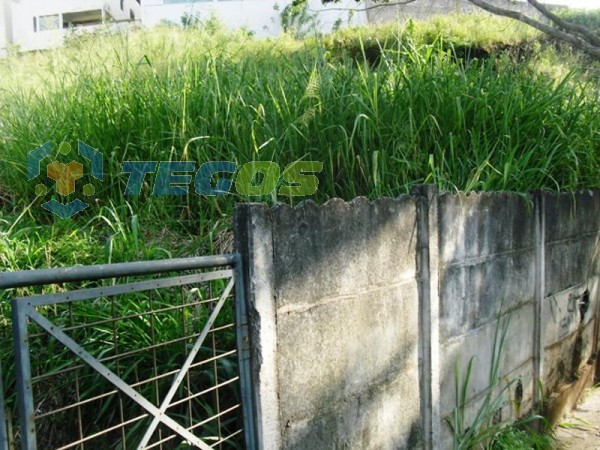 Terreno / Área localizado em Santa Lúcia. 0 quartos, 0 banheiros e 0 vagas. Foto 8