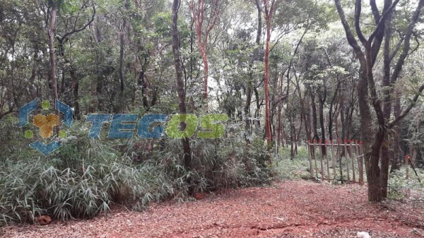 Lote localizado em Zona Rural. 0 quartos, 0 banheiros e 0 vagas. Foto 2