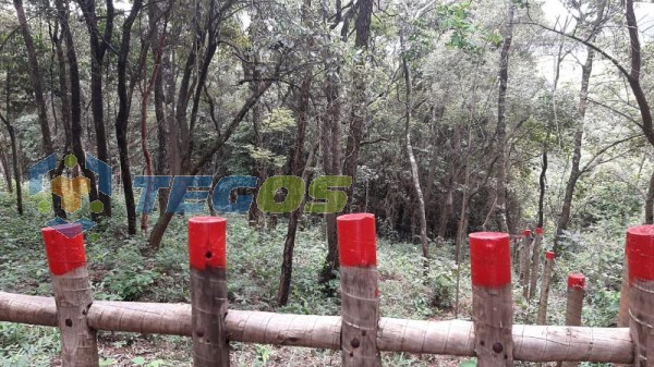 Lote localizado em Zona Rural. 0 quartos, 0 banheiros e 0 vagas. Foto 3