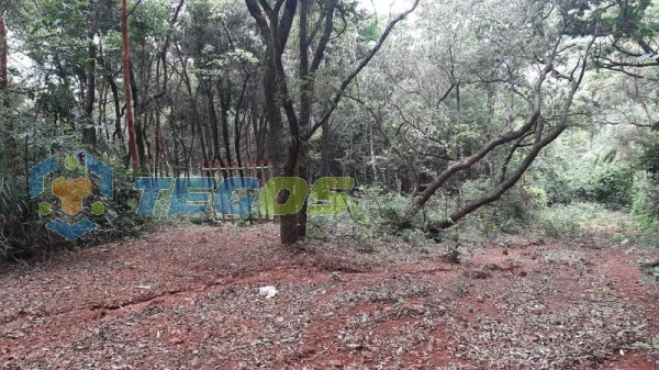 Lote localizado em Zona Rural. 0 quartos, 0 banheiros e 0 vagas. Foto 4