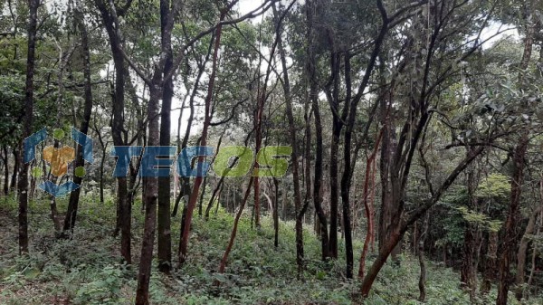 Lote localizado em Zona Rural. 0 quartos, 0 banheiros e 0 vagas. Foto 5