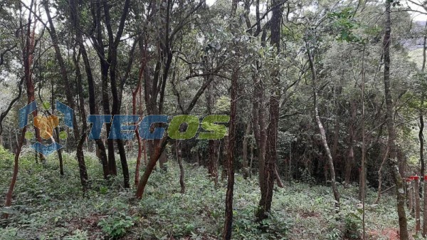 Lote localizado em Zona Rural. 0 quartos, 0 banheiros e 0 vagas. Foto 6