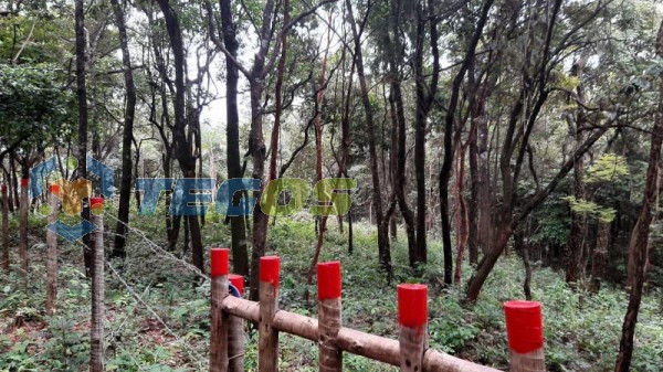 Lote localizado em Zona Rural. 0 quartos, 0 banheiros e 0 vagas. Foto 7