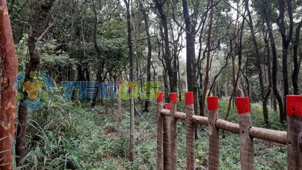 Lote localizado em Zona Rural. 0 quartos, 0 banheiros e 0 vagas. Foto 8